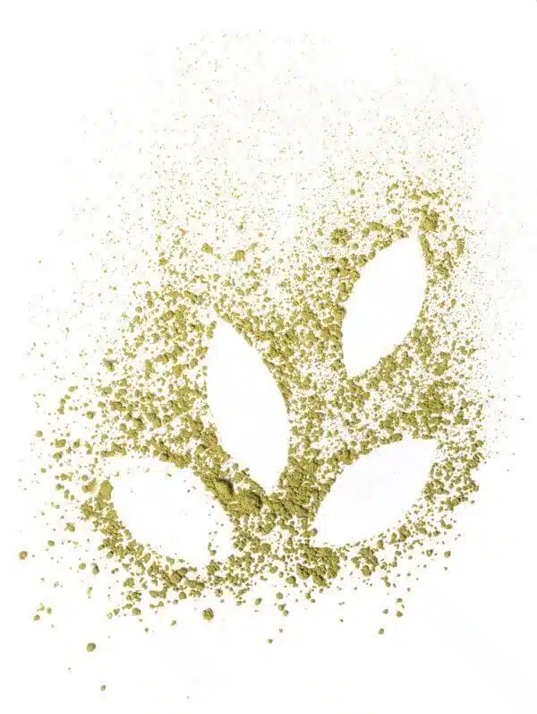 evolutea extracto te matcha