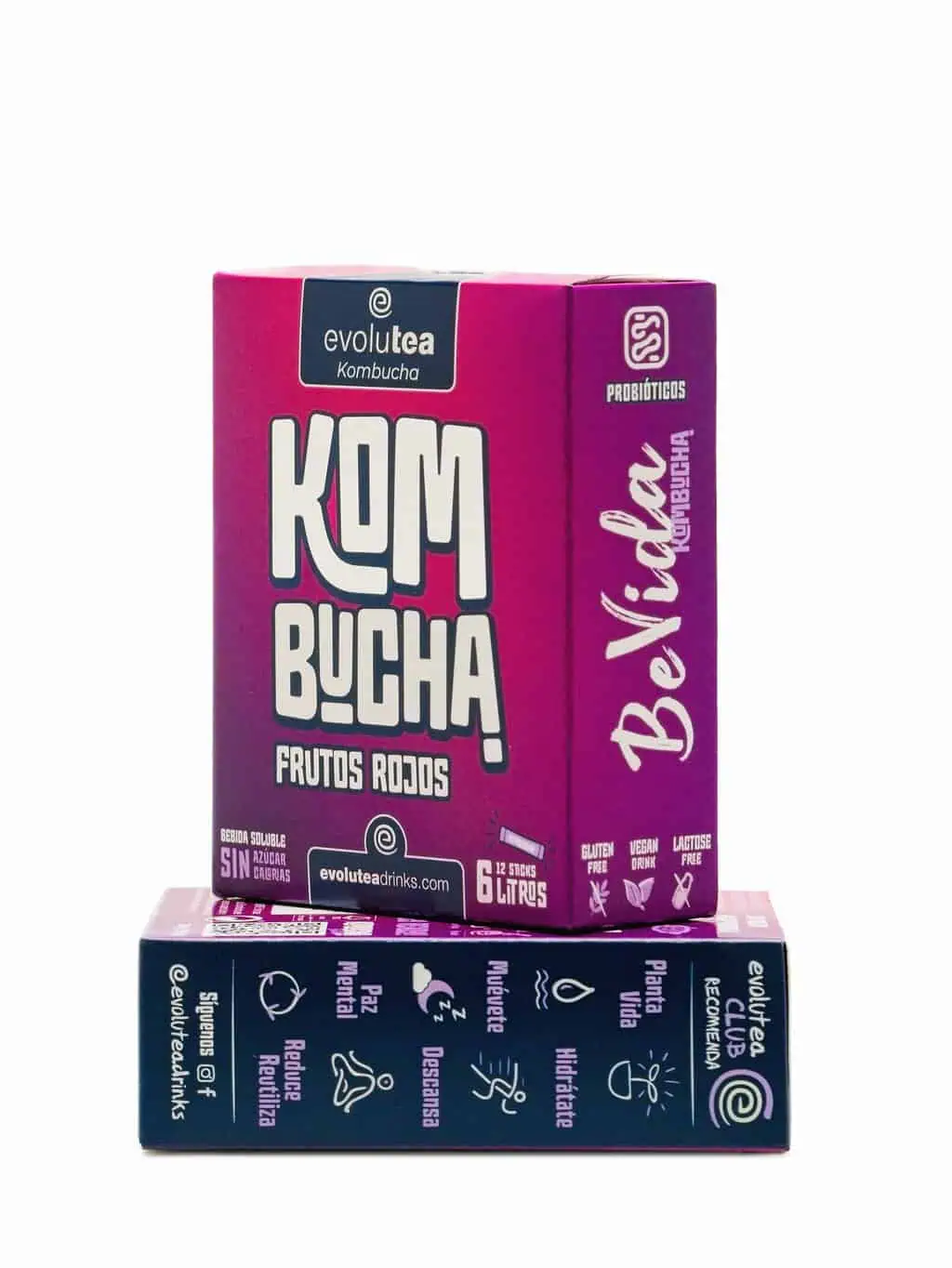 Kombucha con frutos rojos 7 Kombucha con frutos rojos - Imagen 4