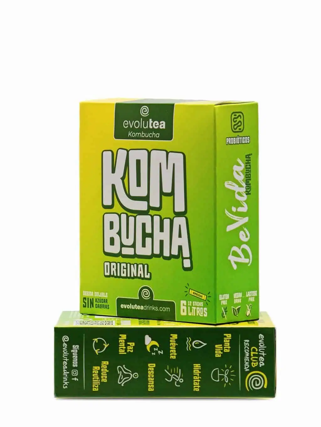 Kombucha sabor original 7 Kombucha sabor original - Imagen 4