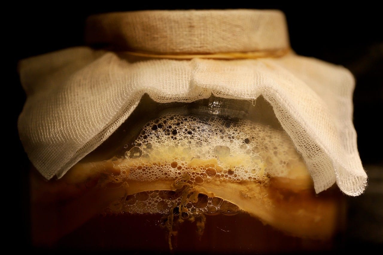 PROPIEDADES Y BENEFICIOS DE LA KOMBUCHA