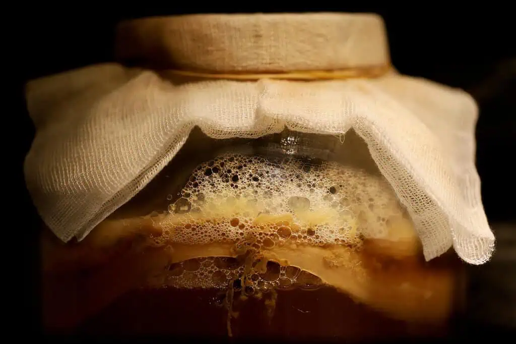 Una bebida vegana y saludable 13 PROPIEDADES Y BENEFICIOS DE LA KOMBUCHA