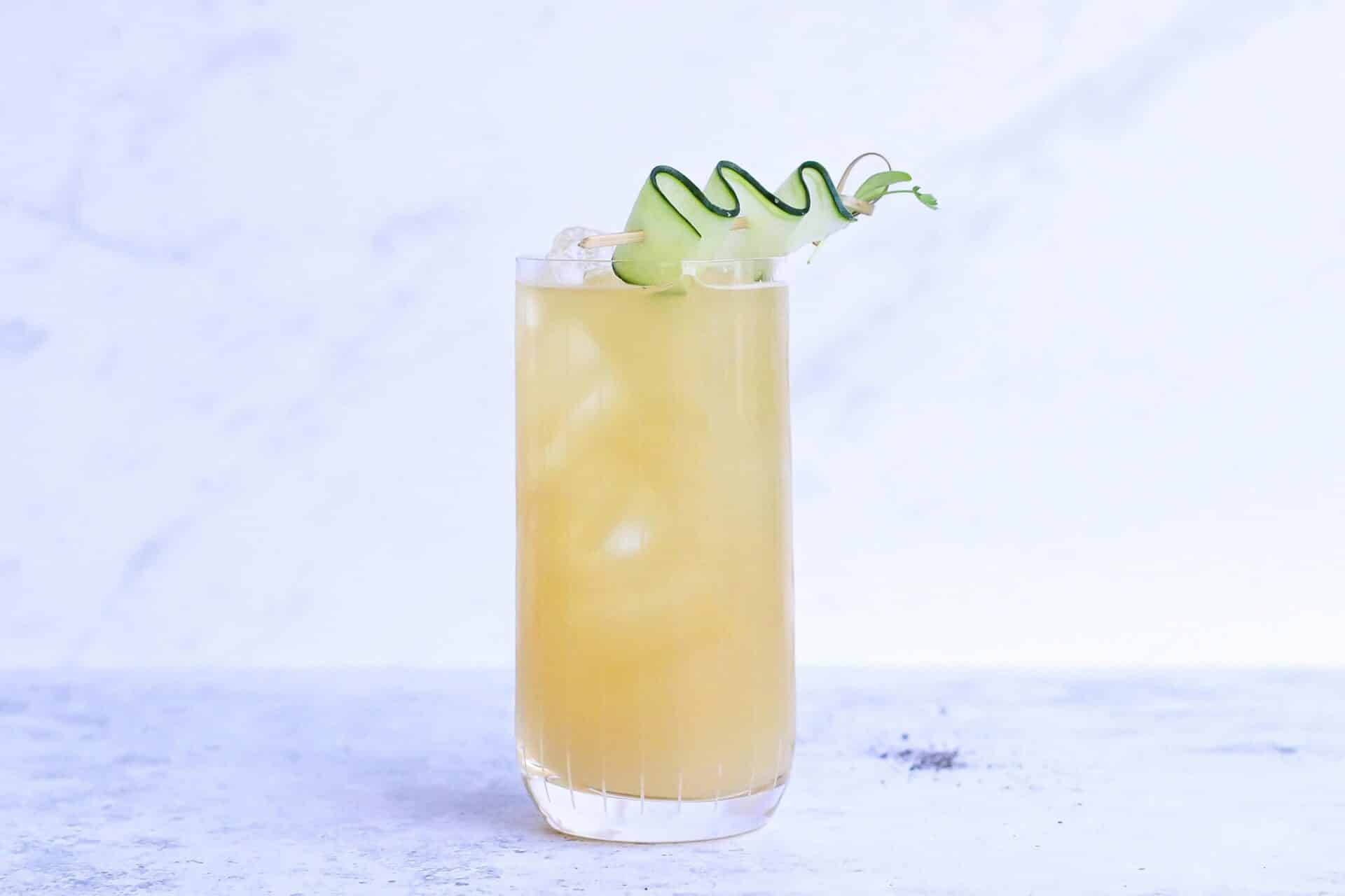 Que_es_la_kombucha
