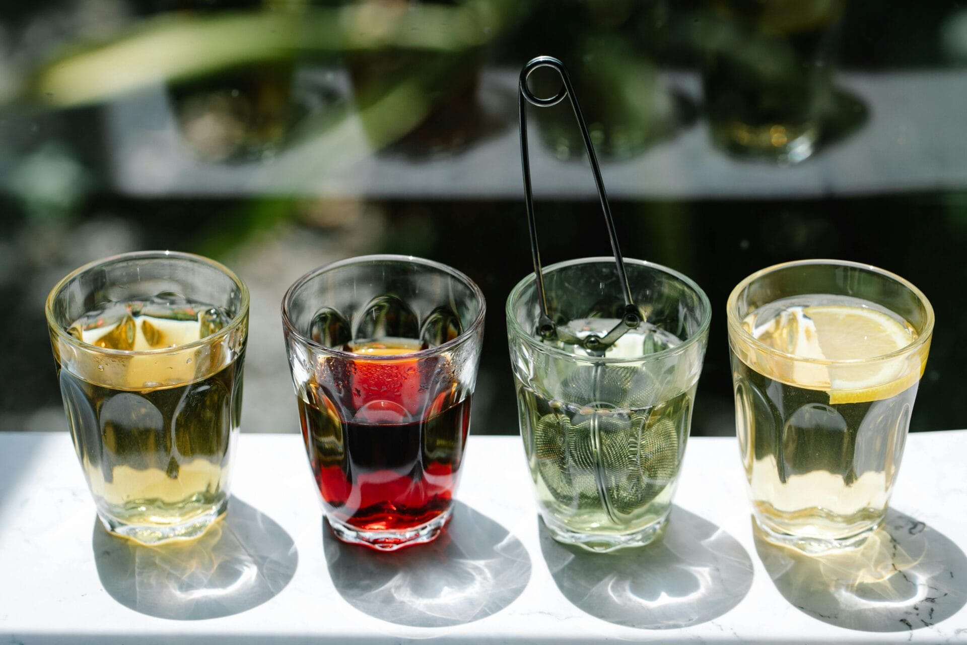Variedades de té más populares, guía de evolutea para que conozcas todas las variedades de té